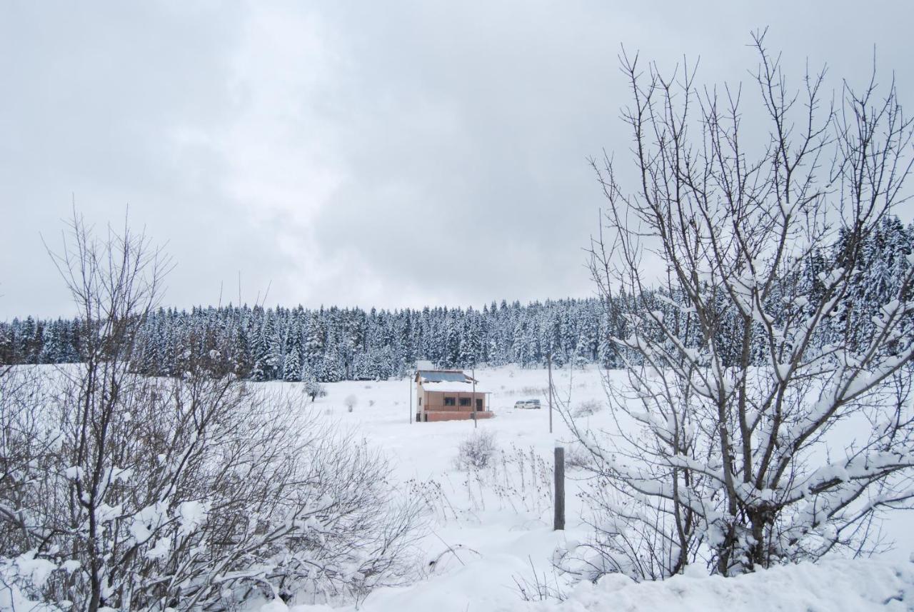 Iksir Resort Town Daday Exteriör bild